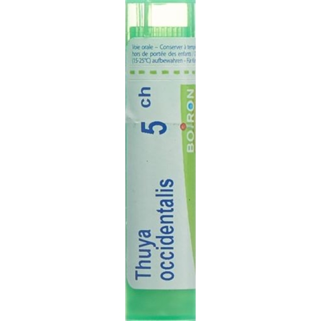 Boiron Thuya Occidentalis в гранулах C 5 4г Boiron Thuya Occidentalis в гранулах C 5 4г