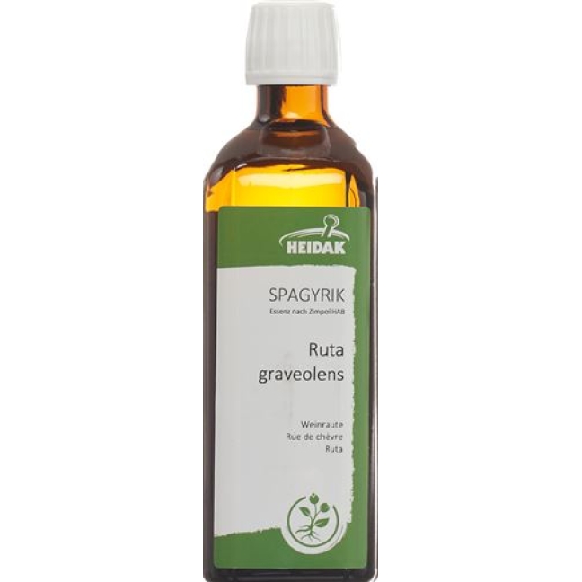 SPAGYRIK RUTA GRAVEOLENS
