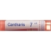 Boiron Cantharis в гранулах C 7 4г Boiron Cantharis в гранулах C 7 4г