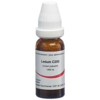 OMIDA LEDUM GLOB C 200 2 G OMIDA LEDUM GLOB C 200 2 G