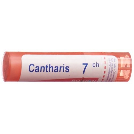 Boiron Cantharis в гранулах C 7 4г Boiron Cantharis в гранулах C 7 4г