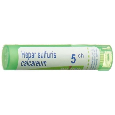 Boiron Hepar Sulfuris Calcareum в гранулах C 5 4г Boiron Hepar Sulfuris Calcareum в гранулах C 5 4г