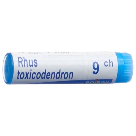 Boiron Rhus Toxicodendron шарики C 9 1 доза Boiron Rhus Toxicodendron шарики C 9 1 доза