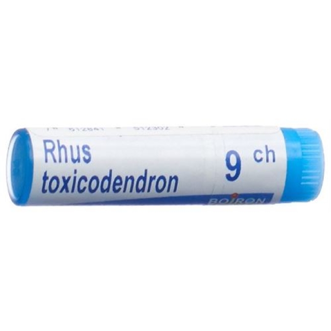 Boiron Rhus Toxicodendron шарики C 9 1 доза Boiron Rhus Toxicodendron шарики C 9 1 доза