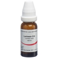 OMIDA LACHESIS GLOB C 30 1 OMIDA LACHESIS GLOB C 30 1