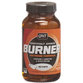 QNT BURNER