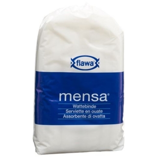 FW MENSA WATTEBINDEN