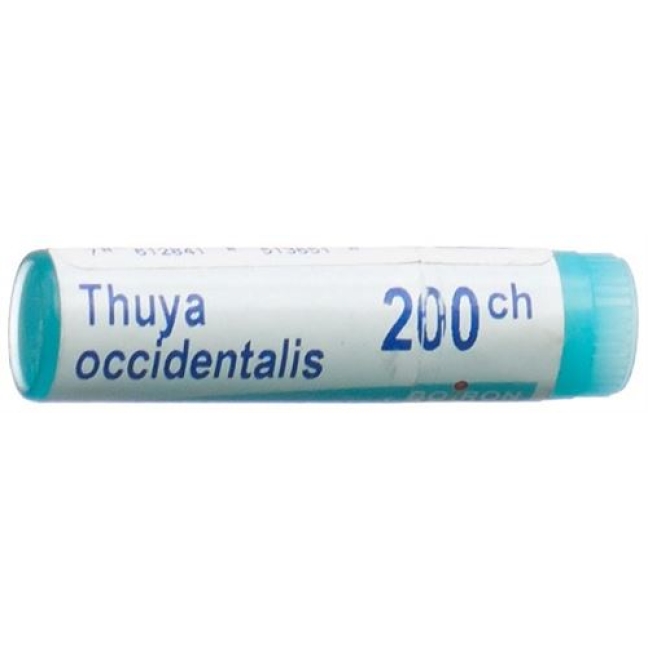 Boiron Thuya Occidentalis шарики C 200 1 доза Boiron Thuya Occidentalis шарики C 200 1 доза