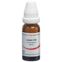 OMIDA LEDUM C30 OMIDA LEDUM C30