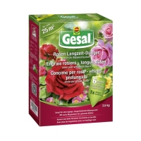 GESAL COMPO ROSEN LANGZ DU