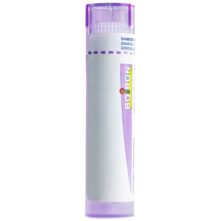 Boiron Iris Versicolor в гранулах C 30 4г Boiron Iris Versicolor в гранулах C 30 4г