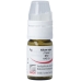 Omida Allium Cepa шарики D 12 м 4г Omida Allium Cepa шарики D 12 м 4г
