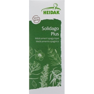 Heidak Spagyrik Solidago Plus Spray Flasche 30ml Heidak Spagyrik Solidago Plus Spray Flasche 30ml