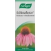 Vogel Echinaforce Resistenz-Erkältung Tropfen 100ml