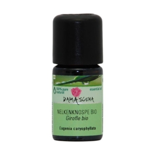 Damascena Nelkenblüte Knospe Ätherisches Öl Bio Flasche 5ml