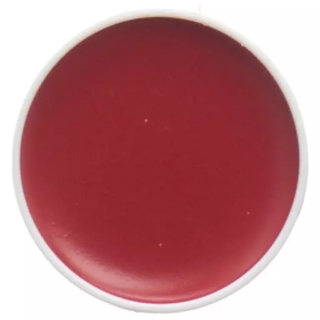 CARNEVAL AQUA SCHMINKP REF ROT CARNEVAL AQUA SCHMINKP REF ROT