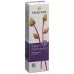 Spagyros Ribes N Pflegecreme в тюбике 50мл Spagyros Ribes N Pflegecreme в тюбике 50мл