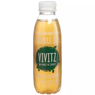 VIVITZ BIO SCHORLE APFEL HOLUN