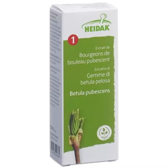 HEIDAK KN MOORBIRKE BETULA PUB HEIDAK KN MOORBIRKE BETULA PUB