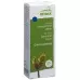 HEIDAK KN EICHE QUERCUS GLYCER HEIDAK KN EICHE QUERCUS GLYCER