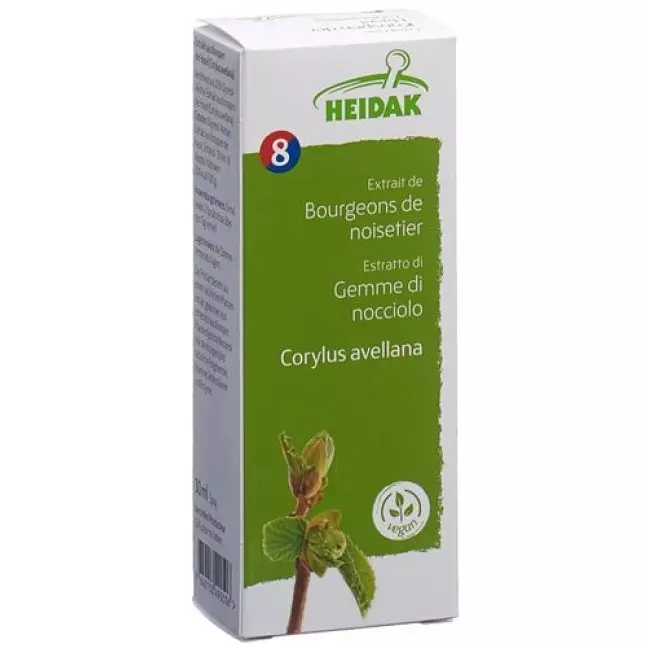 HEIDAK KN HASEL CORYLUS AVEL HEIDAK KN HASEL CORYLUS AVEL