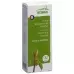 HEIDAK KN HASEL CORYLUS AVEL HEIDAK KN HASEL CORYLUS AVEL