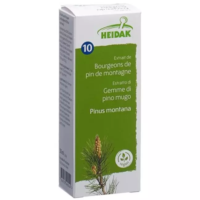HEIDAK KN BERGKIEFER PINUS MON HEIDAK KN BERGKIEFER PINUS MON
