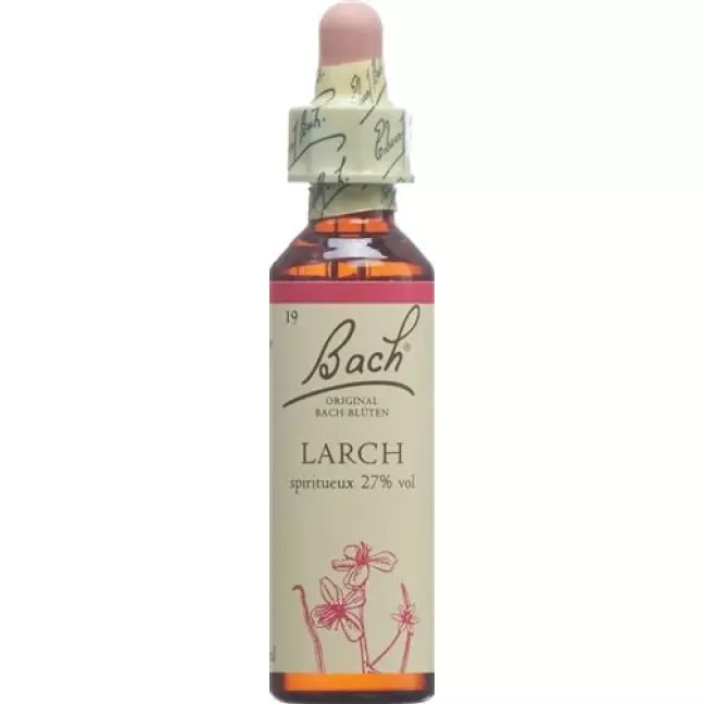 Bachbluten Larch Nr. 19 жидкость 20мл Bachbluten Larch Nr. 19 жидкость 20мл