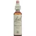 Bachbluten Wild Rose Nr. 37 жидкость 20мл