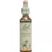 Bachbluten Walnut Nr. 33 жидкость 20мл