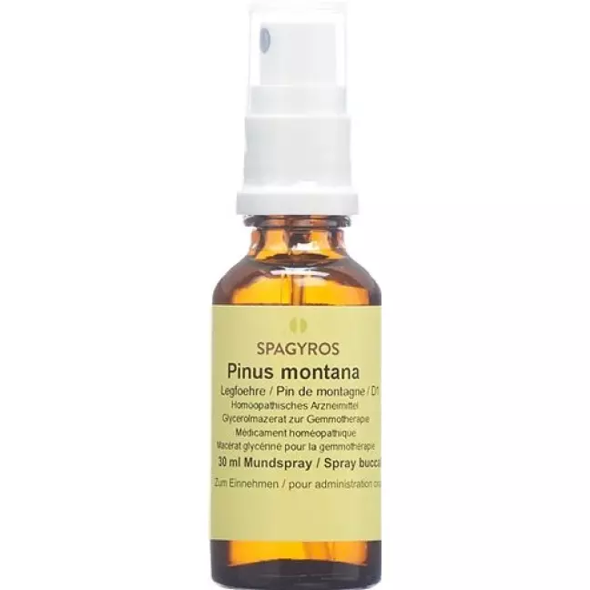 Spagyros Gemmo Pinus Montana Glyc Maz D 1 30мл Spagyros Gemmo Pinus Montana Glyc Maz D 1 30мл