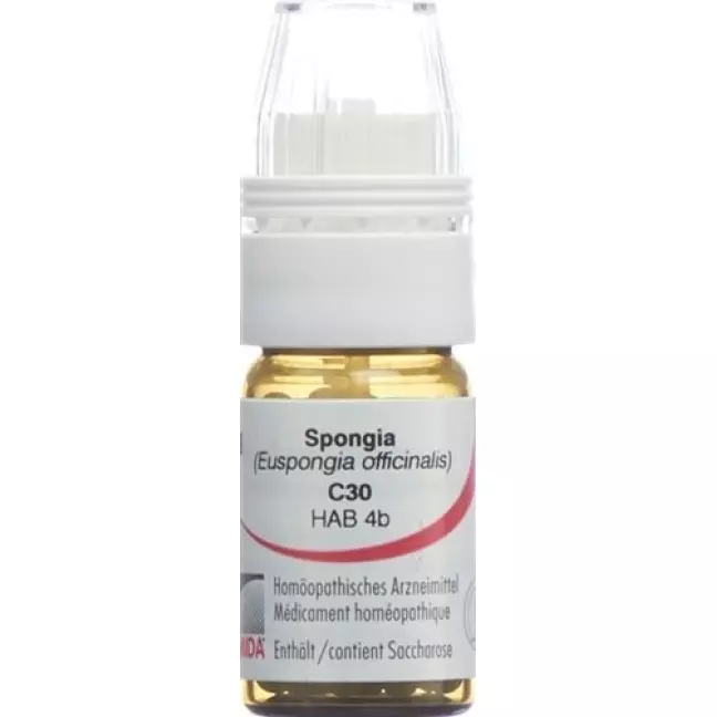 Omida Spongia шарики C 30 м 4г Omida Spongia шарики C 30 м 4г