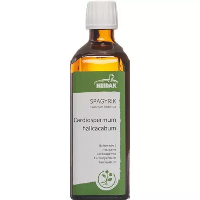 Spagyrik Cardiospermum 500мл Spagyrik Cardiospermum 500мл