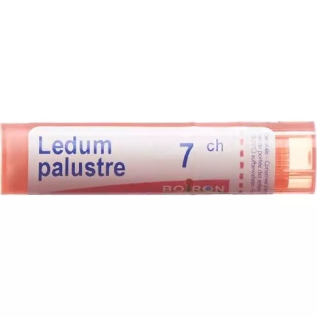 Boiron Ledum Palustre в гранулах C 7 4г Boiron Ledum Palustre в гранулах C 7 4г