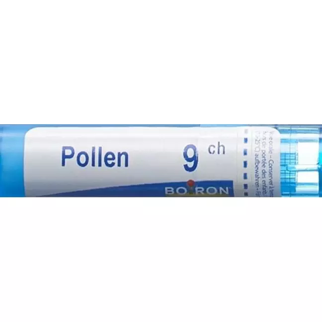 Boiron Pollen Pollant в гранулах C 9 4г Boiron Pollen Pollant в гранулах C 9 4г
