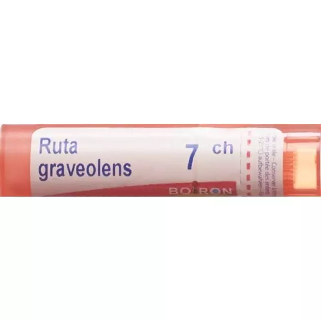 Boiron Ruta Graveolens в гранулах C 7 4г Boiron Ruta Graveolens в гранулах C 7 4г