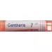 Boiron Cantharis в гранулах C 7 4г Boiron Cantharis в гранулах C 7 4г