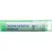 Boiron Calcarea Carbonica Ostrear в гранулах C 5 4г Boiron Calcarea Carbonica Ostrear в гранулах C 5 4г