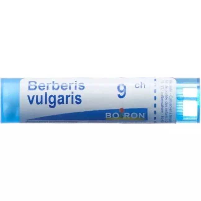 Boiron Berberis Vulgaris в гранулах C 9 4г Boiron Berberis Vulgaris в гранулах C 9 4г