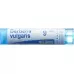 Boiron Berberis Vulgaris в гранулах C 9 4г Boiron Berberis Vulgaris в гранулах C 9 4г