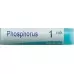 BOIRON PHOSPHORUS MK