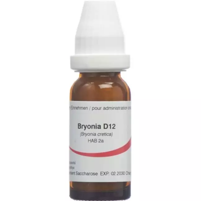 OMIDA BRYONIA GLOB D 12 14
