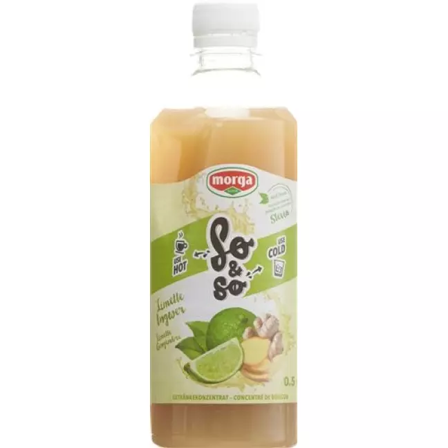 SO&SO INGWER-LIMETTE KONZ STEV SO&SO INGWER-LIMETTE KONZ STEV