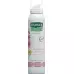 RAUSCH SHOWER FOAM MALVE RAUSCH SHOWER FOAM MALVE