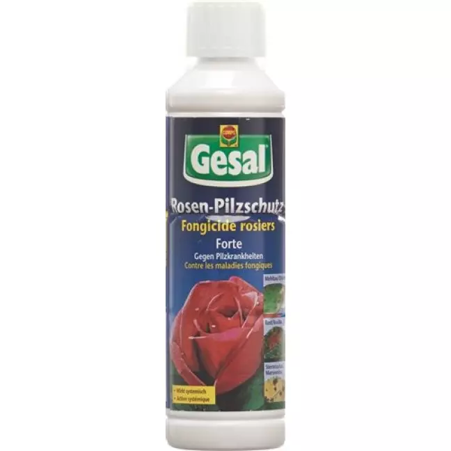 GESAL ROSEN PILZSCHUTZ FOR GESAL ROSEN PILZSCHUTZ FOR
