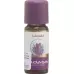 Taoasis Lavendel эфирное масло Konventionell 10мл Taoasis Lavendel эфирное масло Konventionell 10мл