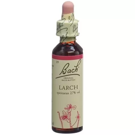 Bachbluten Larch Nr. 19 жидкость 20мл Bachbluten Larch Nr. 19 жидкость 20мл