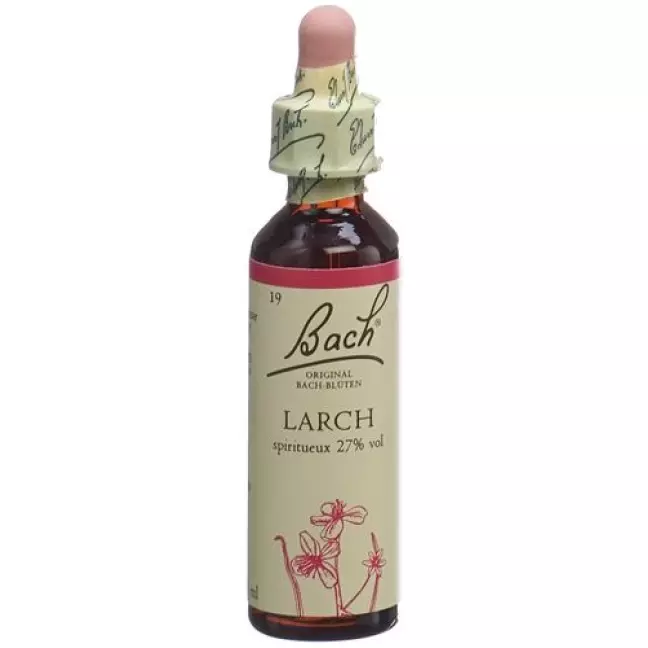 Bachbluten Larch Nr. 19 жидкость 20мл Bachbluten Larch Nr. 19 жидкость 20мл