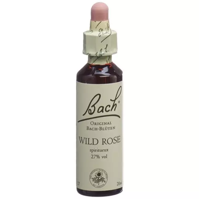 Bachbluten Wild Rose Nr. 37 жидкость 20мл