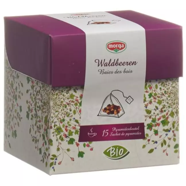 MORGA WALDBEEREN FRUECHTTEE PY MORGA WALDBEEREN FRUECHTTEE PY